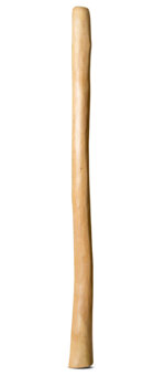 Medium Size Natural Finish Didgeridoo (TW1258)